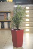 ICES Self-Watering Planter