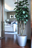 AQUAS Self-Watering Planter