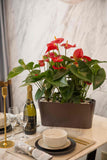 CLOUD Self-Watering Planter