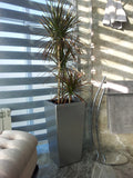 ICES Self-Watering Planter