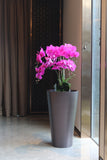 OXYGENS Self-Watering Planter