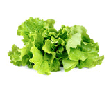 Lettuce Refill